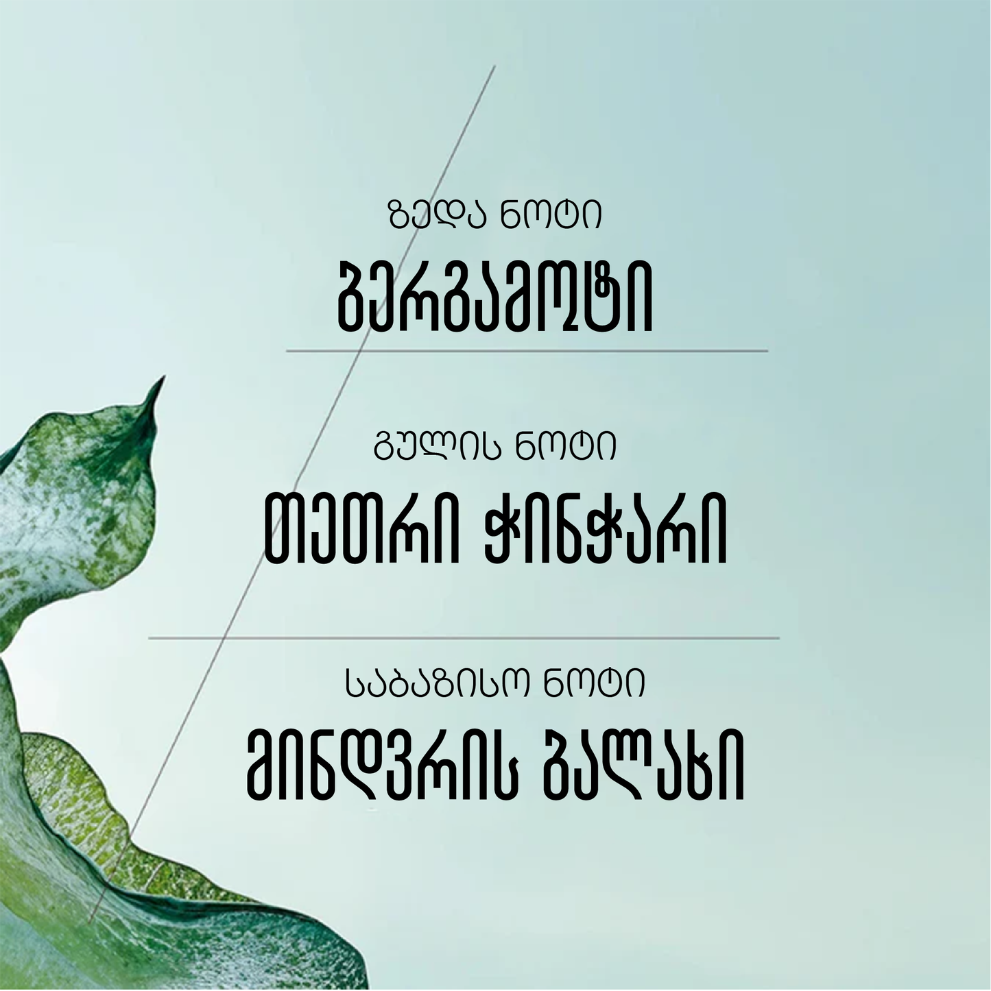 Ortie Blanche სუნამო