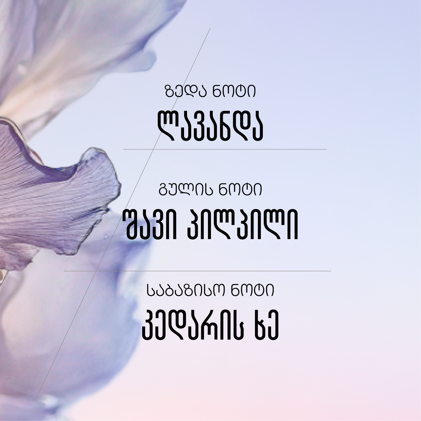 Lavande Blanche eau de toilette
