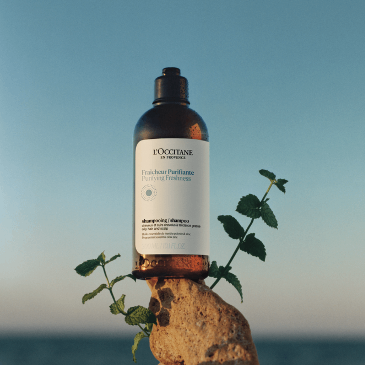 Purifying Freshness Conditioner