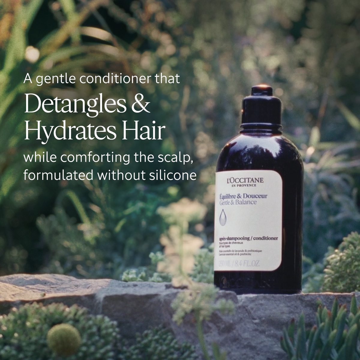 GB GENTLE CONDITIONNER 250ML 