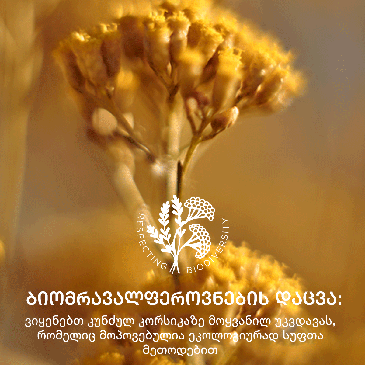 ღვთაებრივი უკვდავას გამწმენდი ზეთი 200მლ