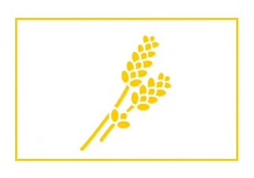 წარმომავლობა
