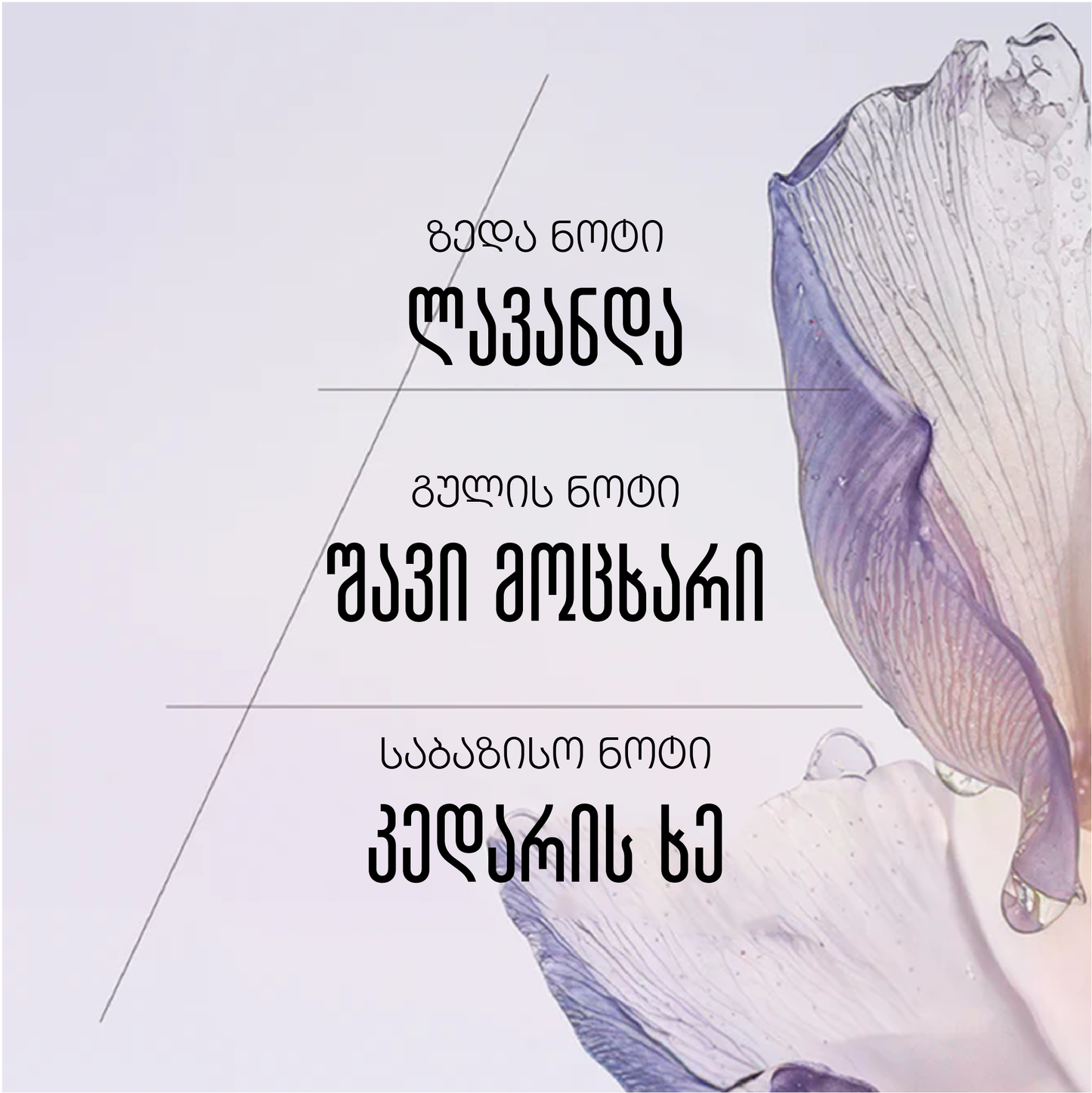 Lavande Blanche eau de toilette