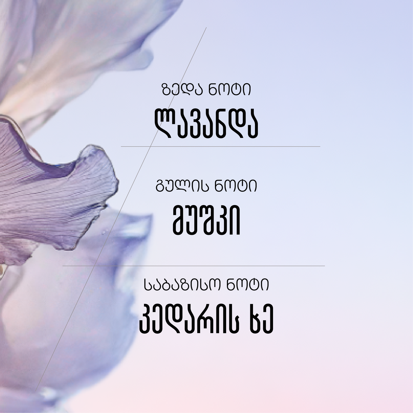 Lavande Blanche eau de toilette